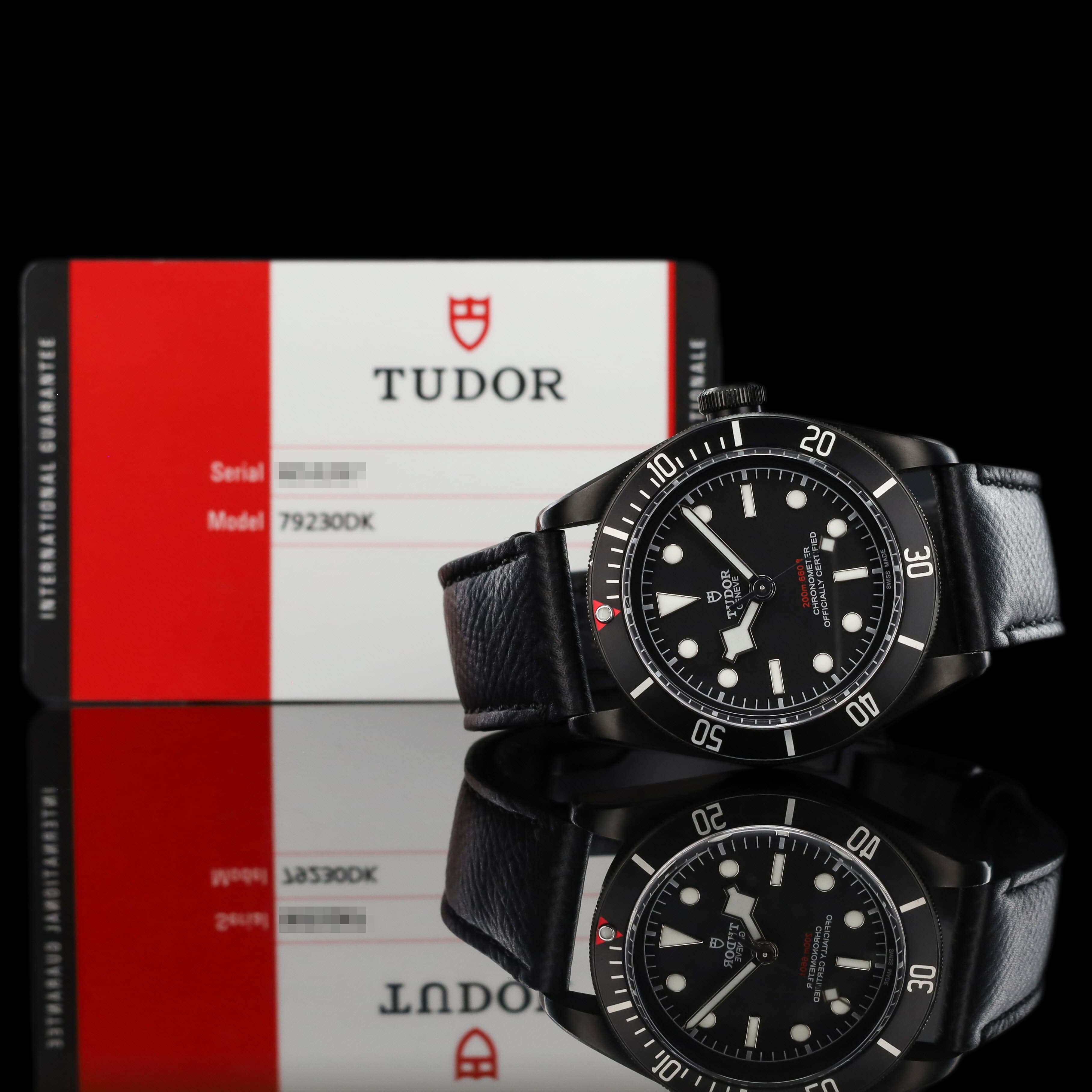 Tudor Black Bay Dark